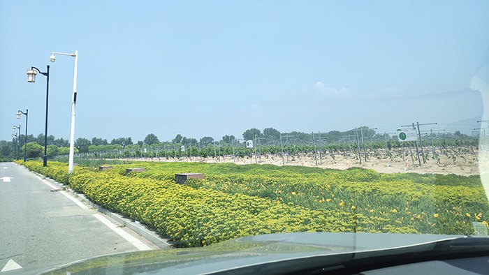 雨后見美景 雷克薩斯RX450hL懷來官?gòu)d游記