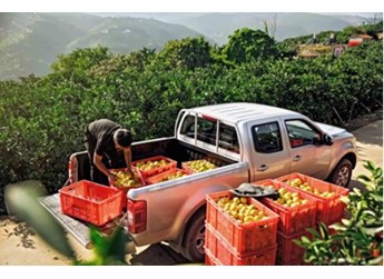 風(fēng)駿為什么被稱為皮卡界的“常青樹(shù)”