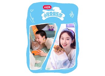 高舉「寵物友好」大旗,小紅書(shū)攜上海大眾Polo用可愛(ài)力量俘獲年輕人