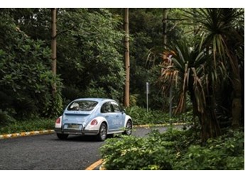 千萬別讓你老婆看到芭蕾貓！我先試駕了 封面圖