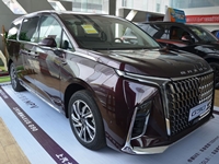 2022款 上汽大通MAUXS G90實(shí)拍圖